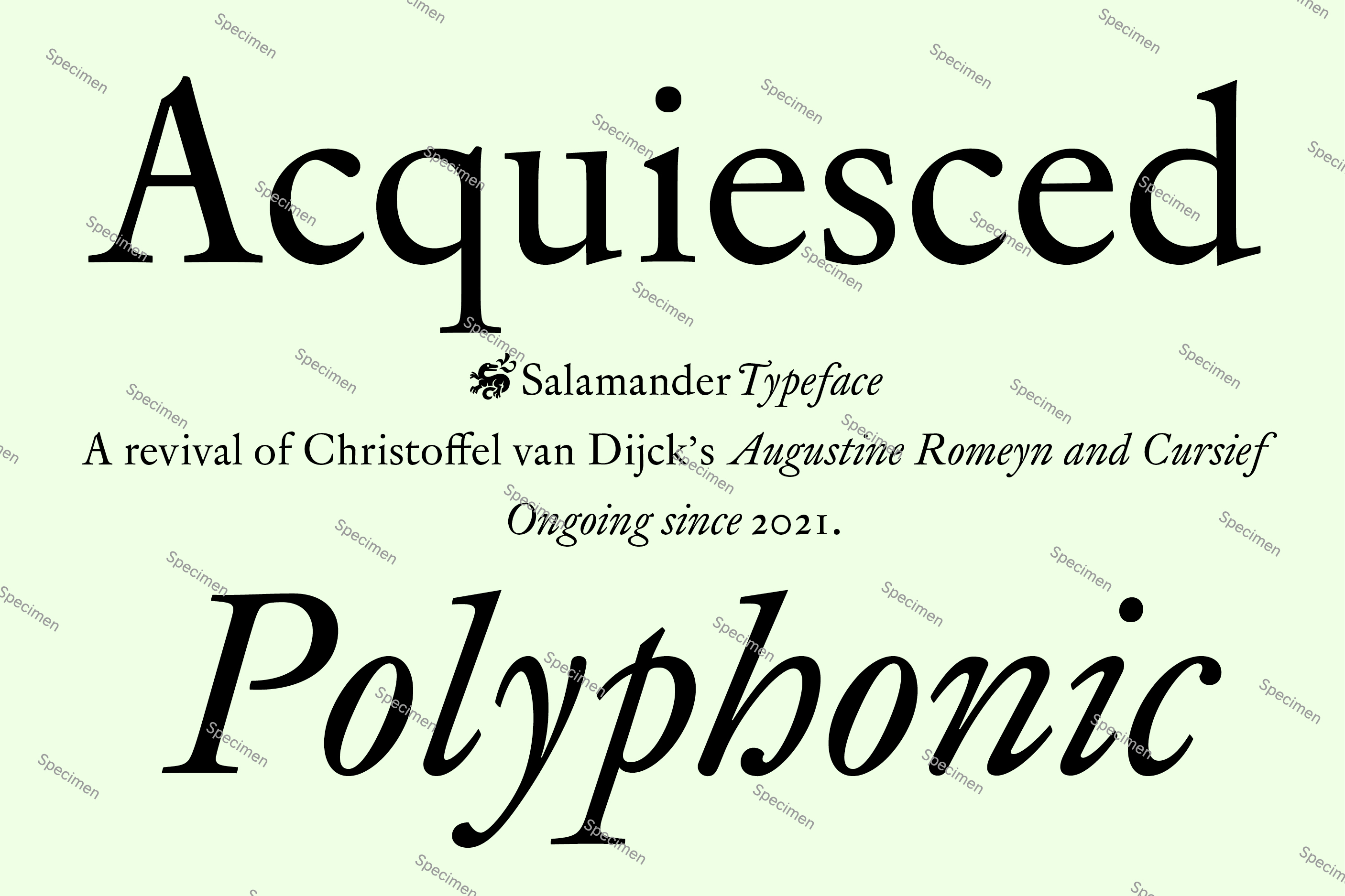 WiseType®, wip: Salamander (Thumbnail)