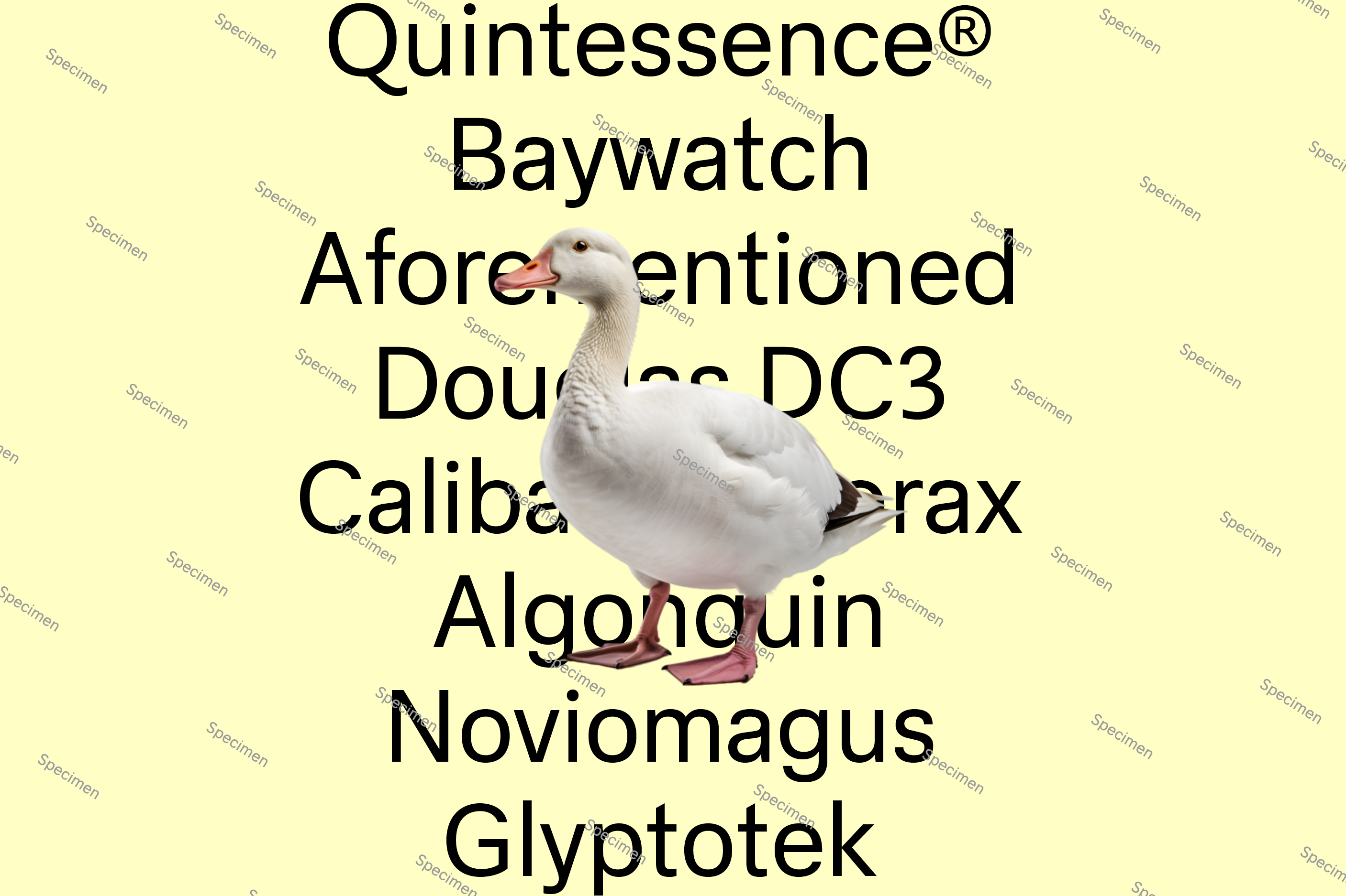 WiseType®, wip: Goose (Thumbnail)