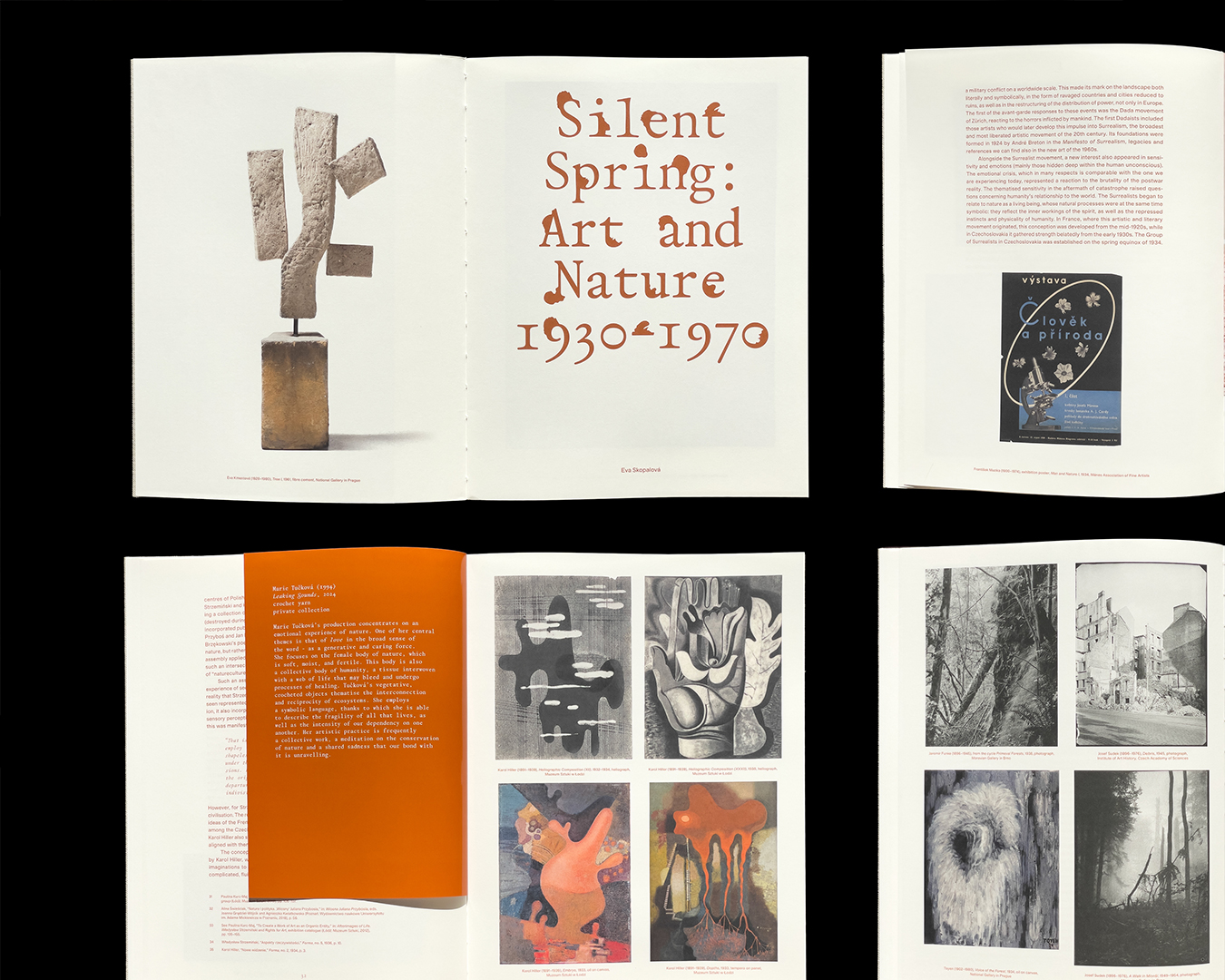 WiseType®, project: Mlćící Jaro – Silent Spring (Fig. 41)