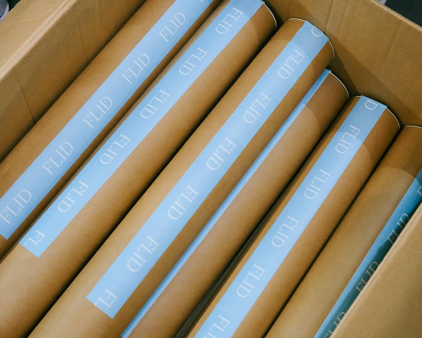 WiseType®, project: Flid (Fig. 22)