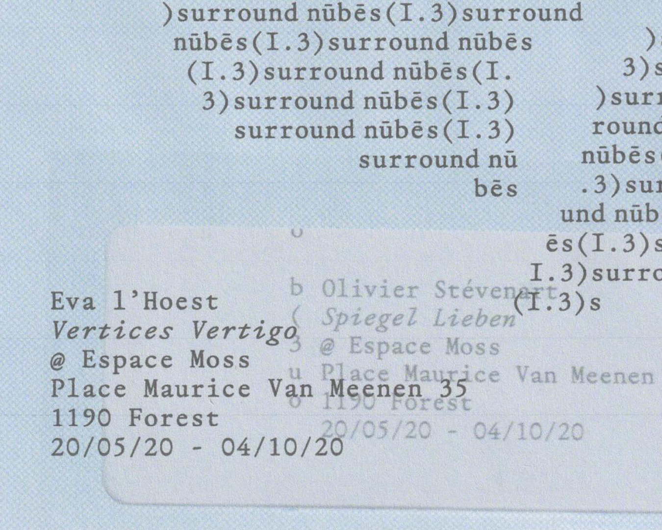 WiseType®, project: Nūbēs Surround (Fig. 1)