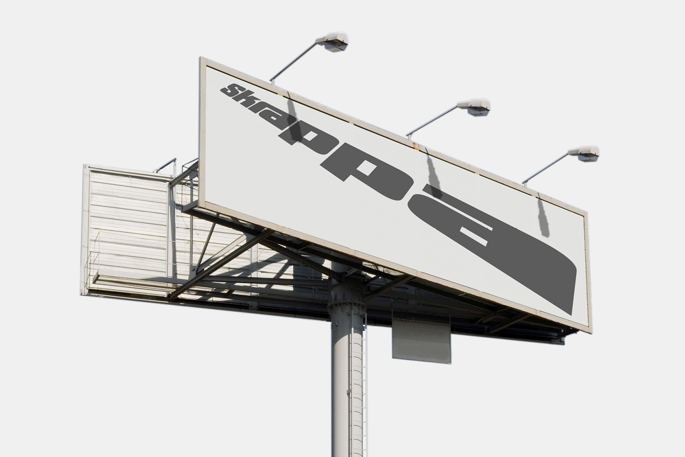 WiseType®, typeface: Skrappa (Fig. 4)